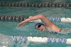 Swimming vs Babson  Wheaton College Swimming vs Babson College. - Photo By: KEITH NORDSTROM : Wheaton, Swimming, Babson